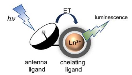 lantanidi luminescenza medicina fig 03