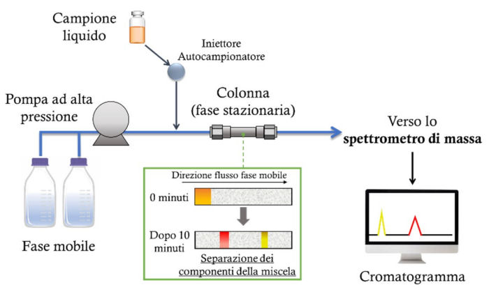 biomarcatori scompenso cardiaco plasma HPLC